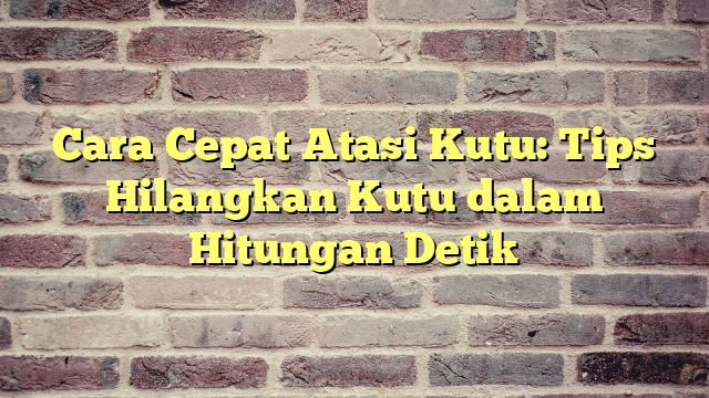 Cara Cepat Atasi Kutu Tips Hilangkan Kutu Dalam Hitungan Detik